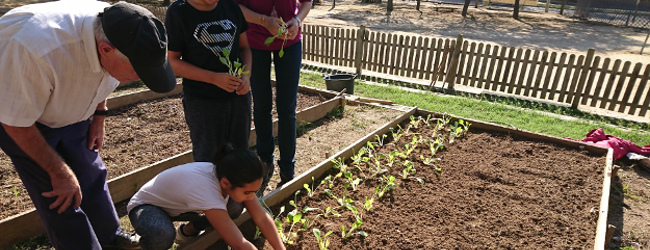 PLANTADA DE L’HORT 2018